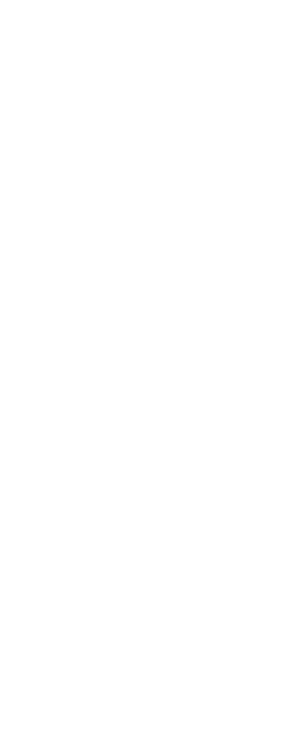 ShowitMX Logo